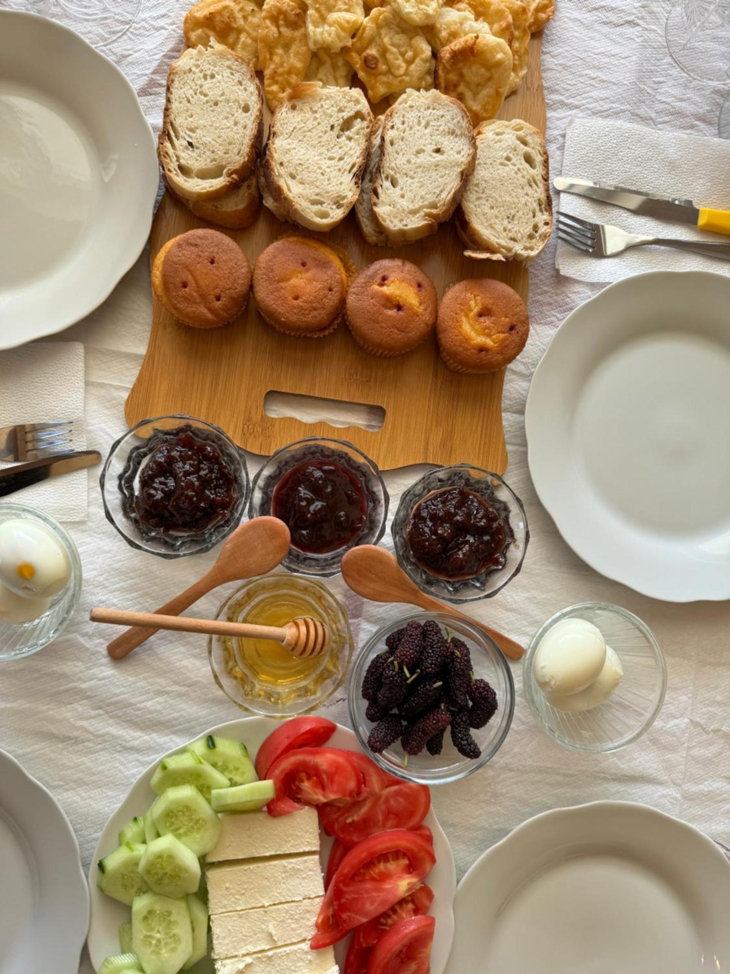 Qyteza Guest House & Camping Σκόδρα Εξωτερικό φωτογραφία